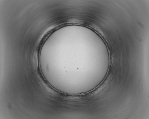 X0000113891123200910151329