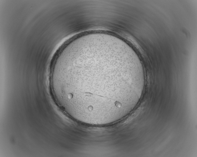 X0000113891124200910151329