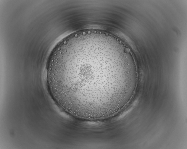 X0000113891125200910151329