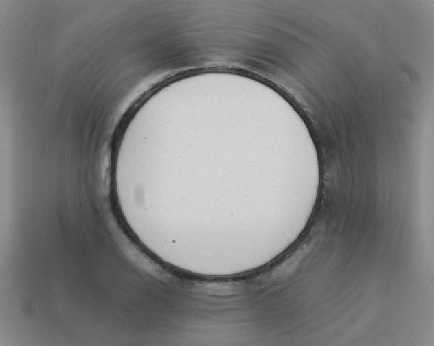 X0000113891126200910151329