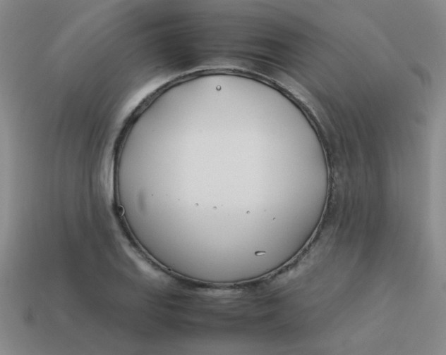 X0000113891127200910151329