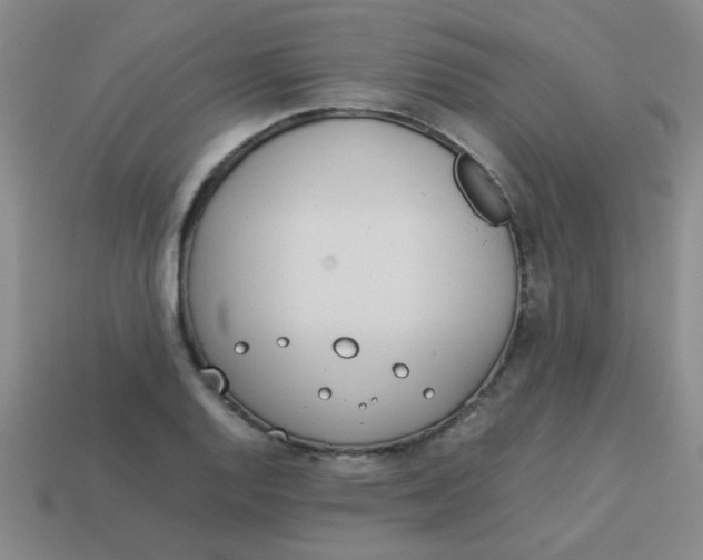 X0000113891128200910151329