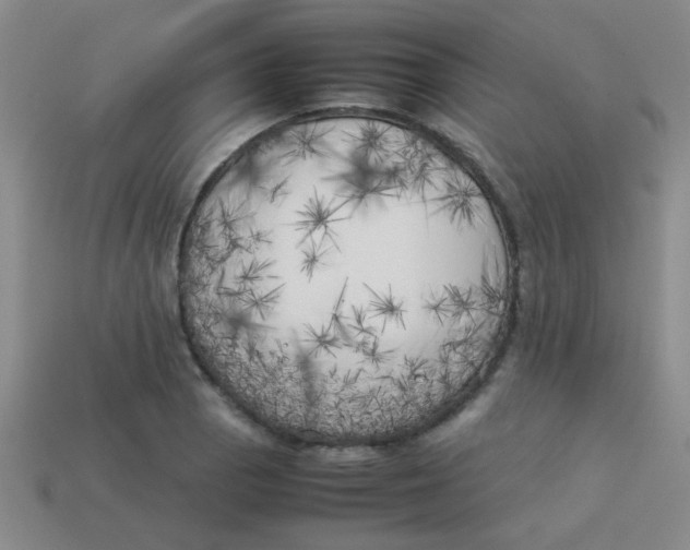 X0000113891129200910151329