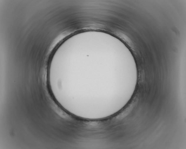 X0000113891130200910151329