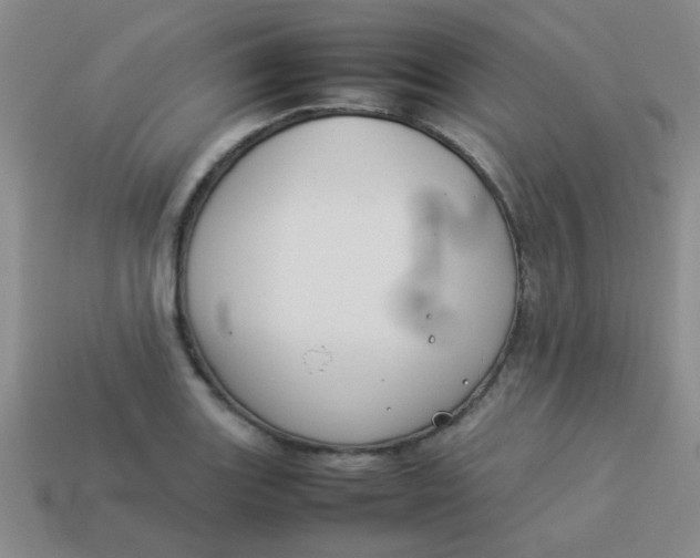 X0000113891131200910151329