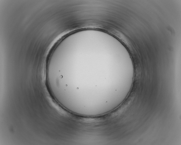 X0000113891132200910151329