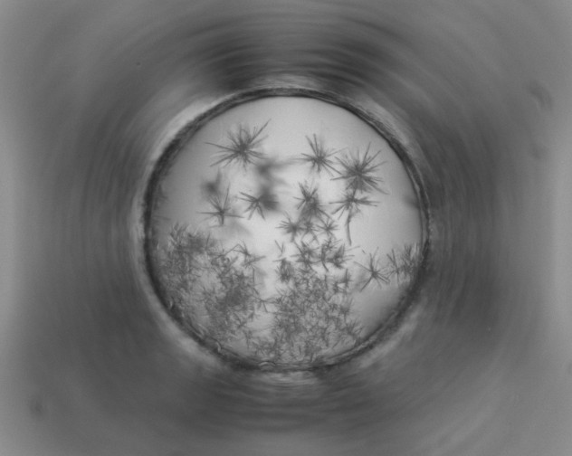 X0000113891133200910151329