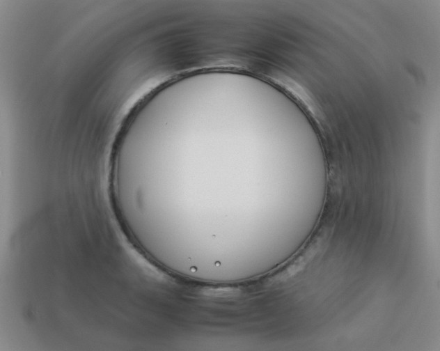 X0000113891135200910151329