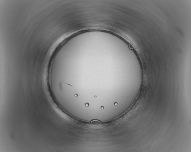 X0000113891136200910151329