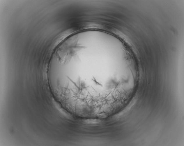 X0000113891137200910151329