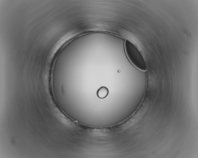 X0000113891138200910151329