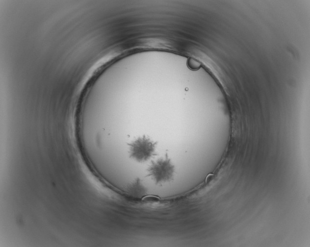 X0000113891139200910151329