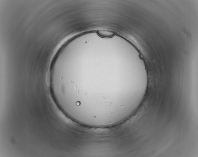 X0000113891140200910151329