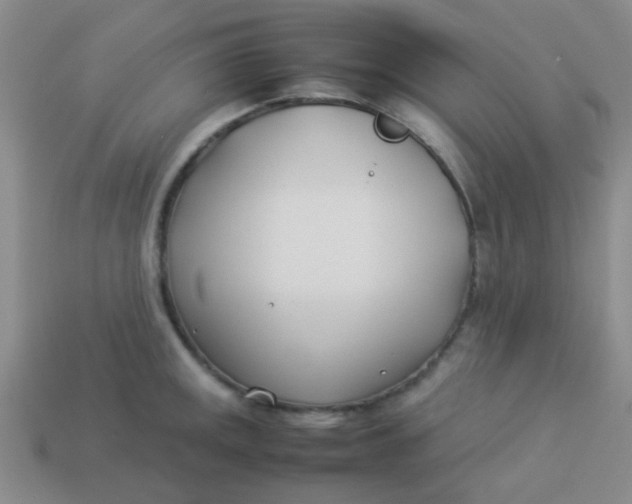 X0000113891141200910151329