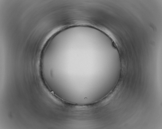 X0000113891142200910151329