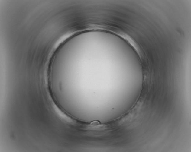 X0000113891143200910151329