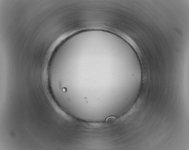 X0000113891144200910151329