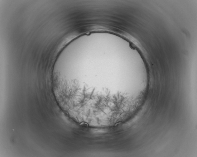 X0000113891145200910151329