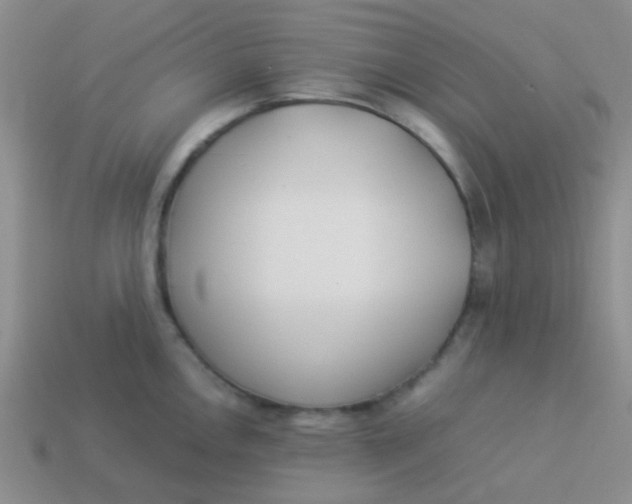 X0000113891146200910151329