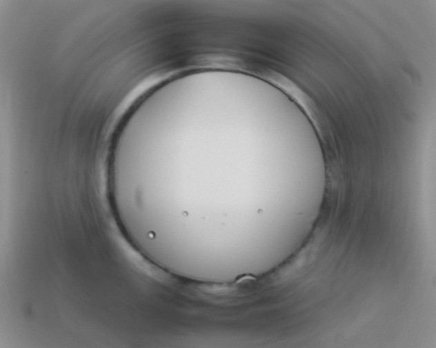 X0000113891147200910151329