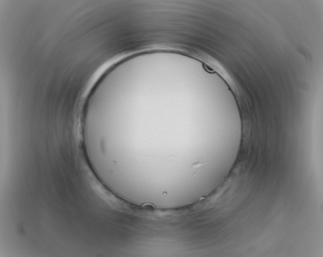 X0000113891148200910151329