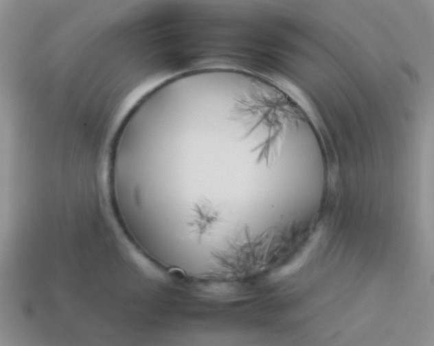 X0000113891149200910151329