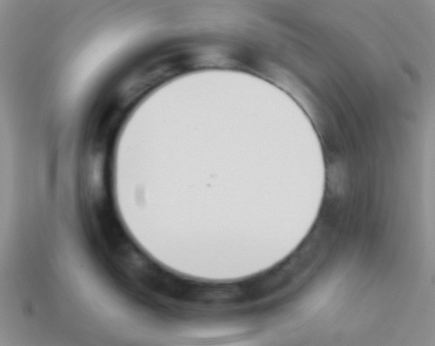 X0000113891150200910151329