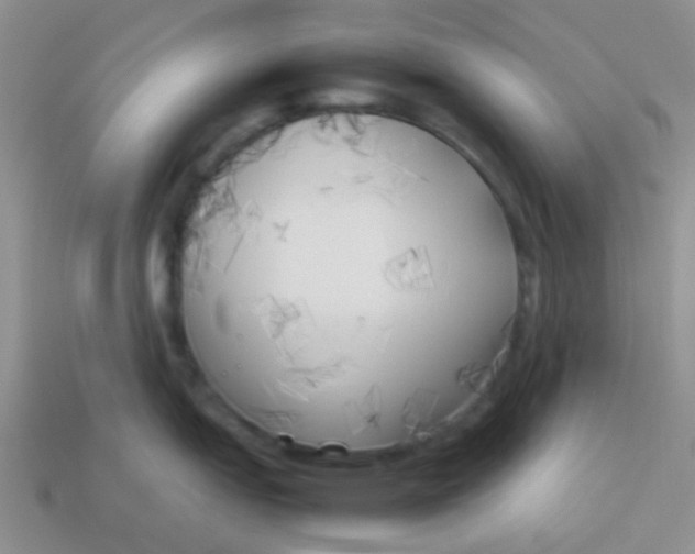 X0000113891151200910151329