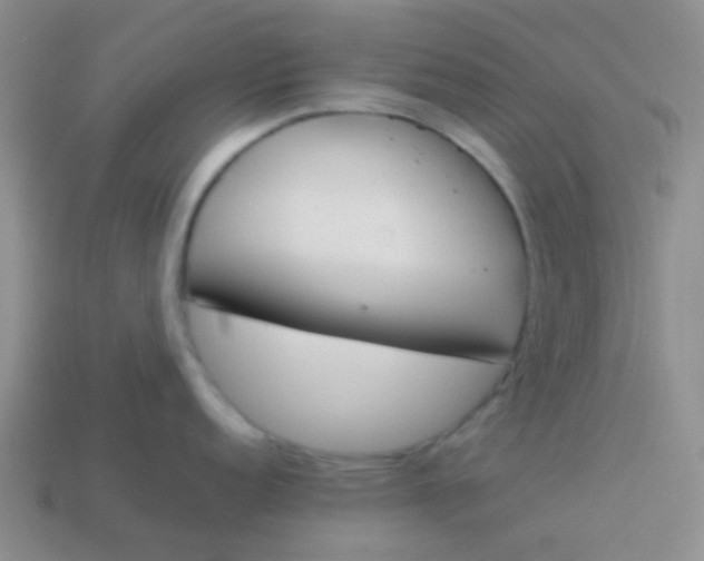 X0000113891152200910151329