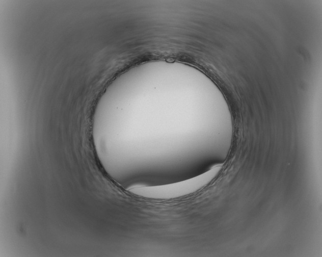 X0000113891153200910151328