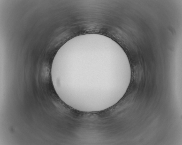 X0000113891154200910151328