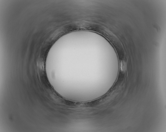 X0000113891155200910151328