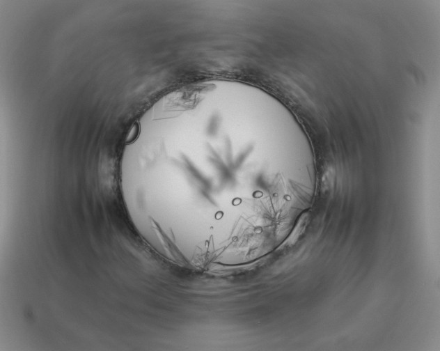 X0000113891156200910151328