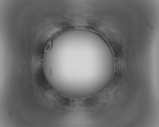 X0000113891157200910151328