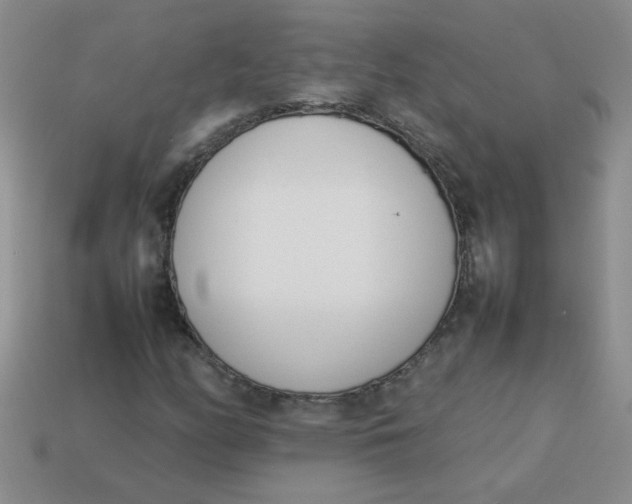 X0000113891158200910151328