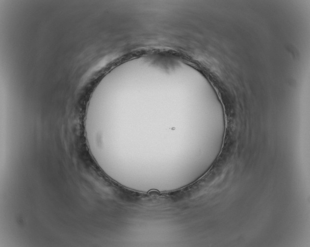 X0000113891159200910151328