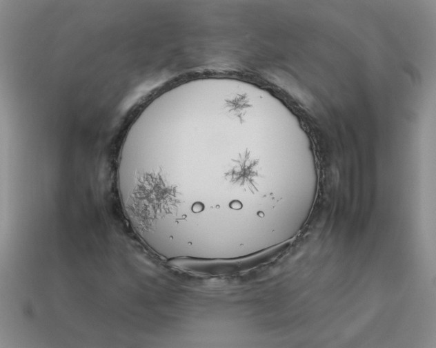 X0000113891160200910151328