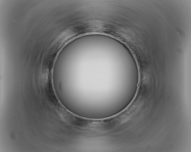 X0000113891161200910151328