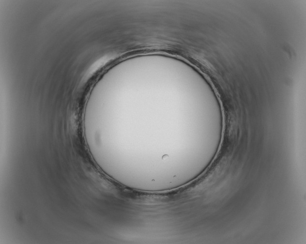 X0000113891163200910151328