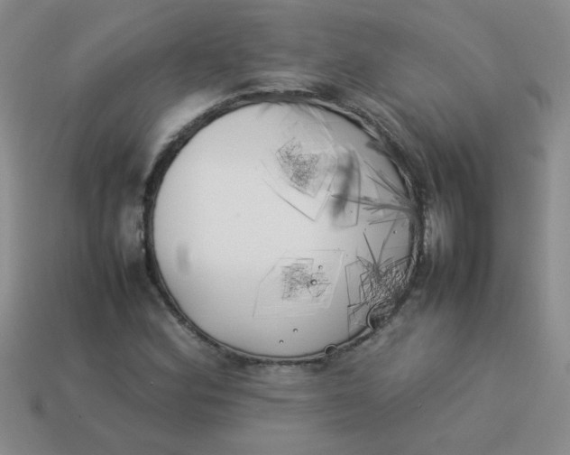 X0000113891164200910151328