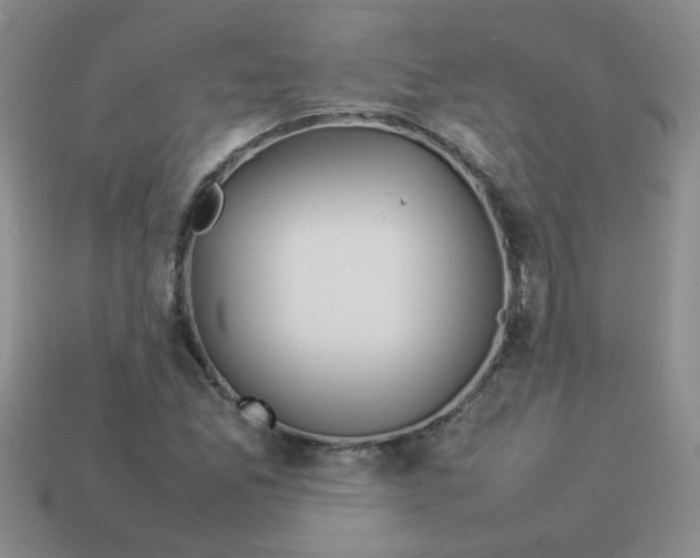 X0000113891165200910151328