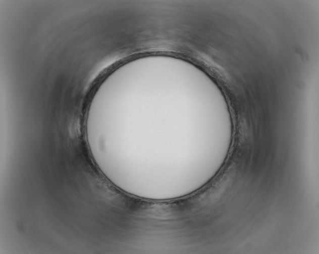 X0000113891166200910151328