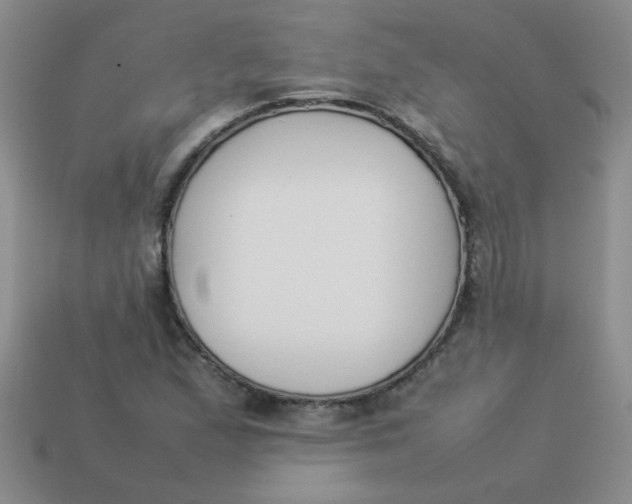 X0000113891167200910151328