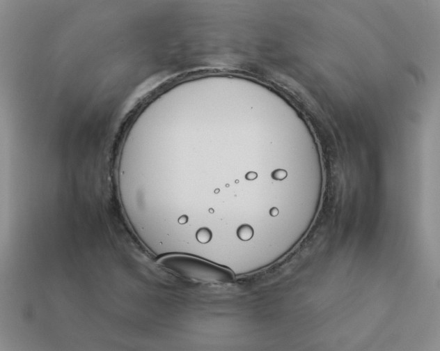 X0000113891168200910151328