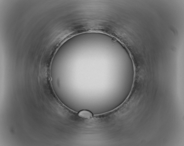 X0000113891169200910151328