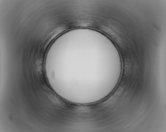 X0000113891170200910151328