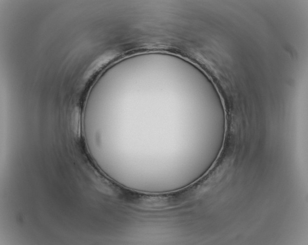 X0000113891171200910151328