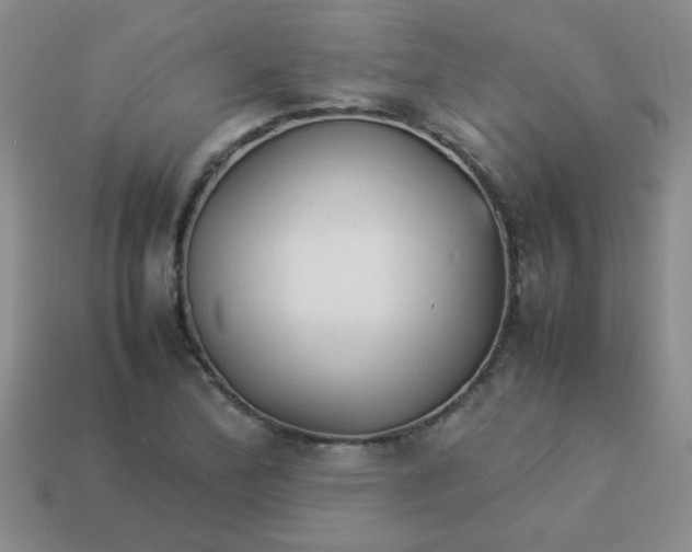 X0000113891172200910151328