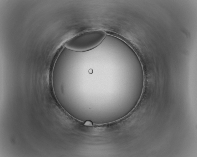 X0000113891173200910151328