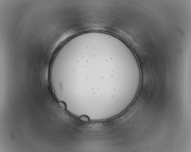 X0000113891174200910151328